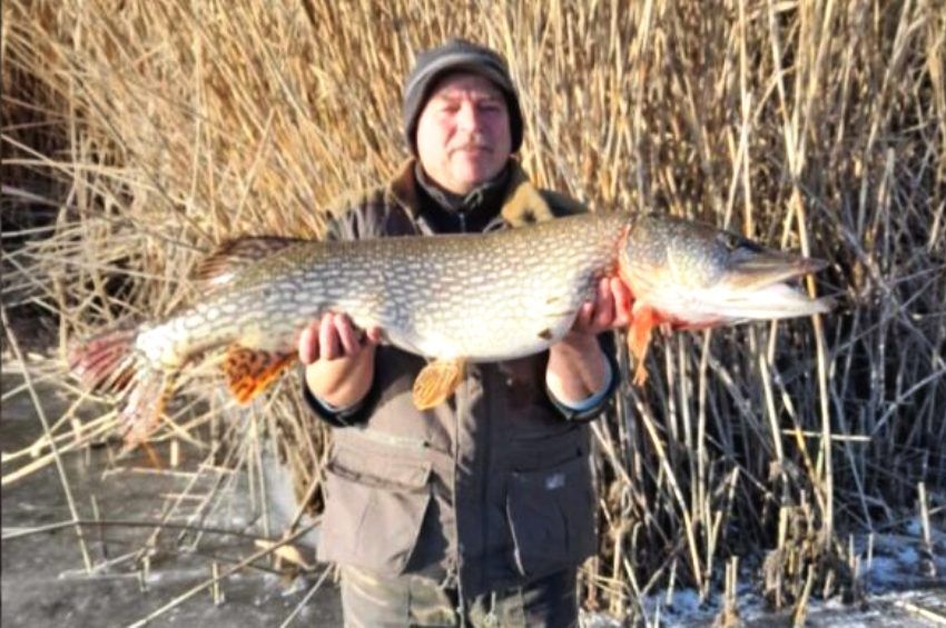 93 centis csukát fogott a Tisza-tavi lékhorgász – videó