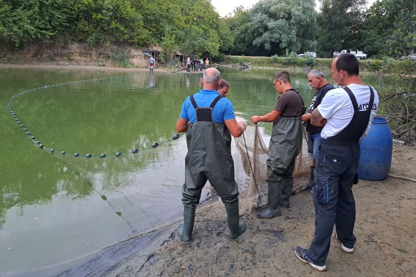 140 horgász maradt hoppon, miután lehalászták a péceli Csunya-tavat
