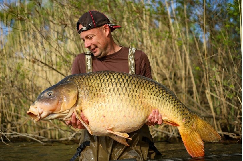 Édeske látogatta meg a Tisza-tavi pontyrekordert 