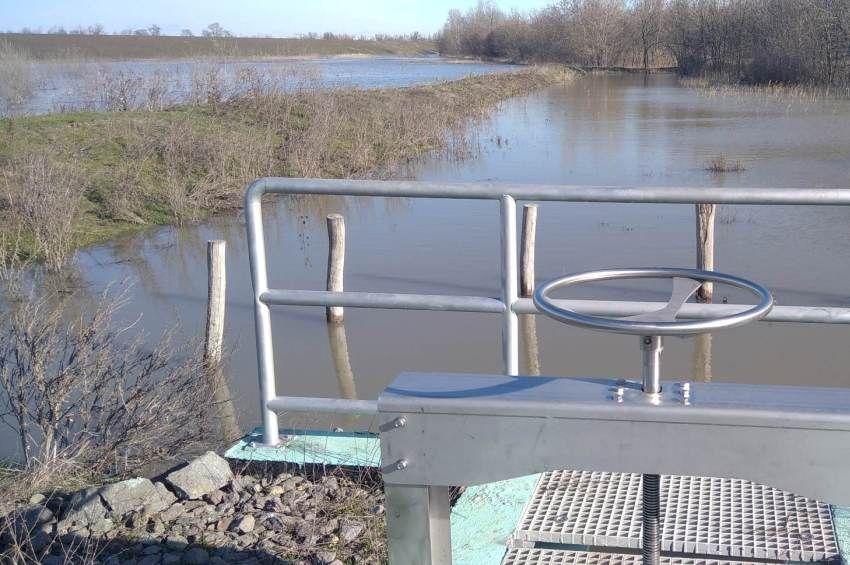 Kiválóan teljesített idén a Doba-pusztai ívóhely és ivadékbölcső – videóval 