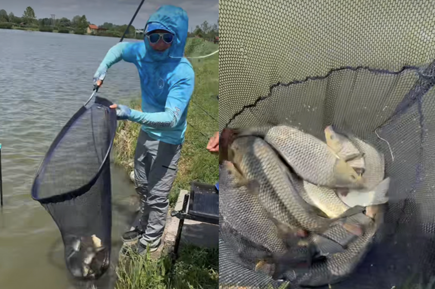 Videó: merítőszákkal fogott tucatnyi pontyot Döme Gábor Kiskunhalason