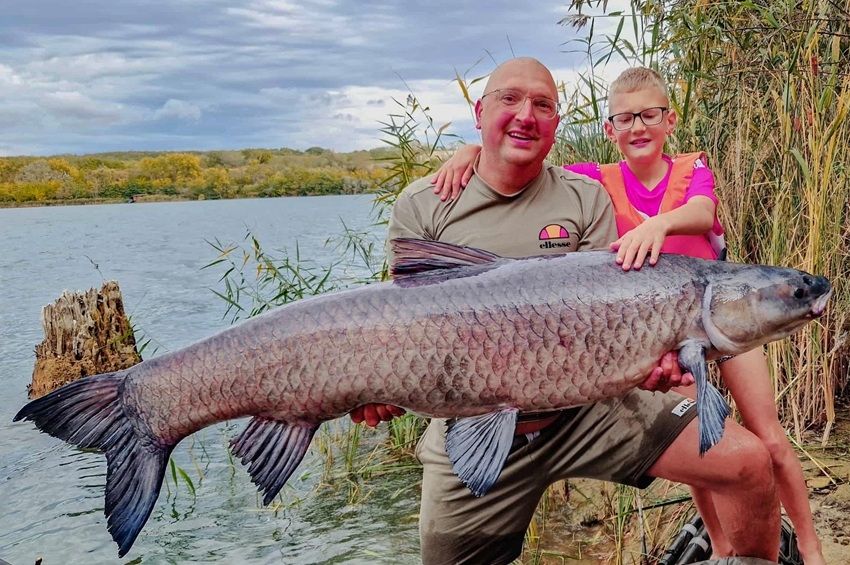 Beletörött a szák a kantáros fekete amur fárasztásába Ecséden