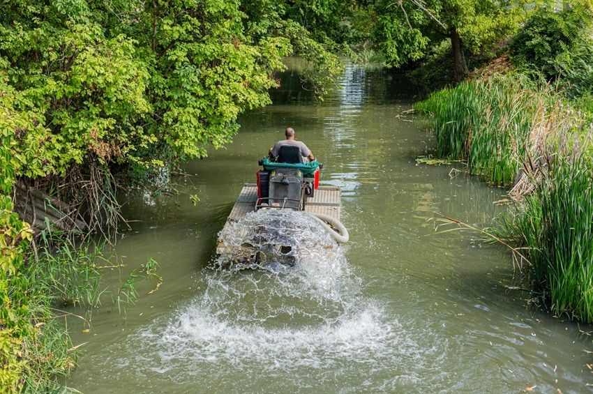 Levegőztetik az Élővíz-csatornát, mert pipálnak a halak – fotókkal