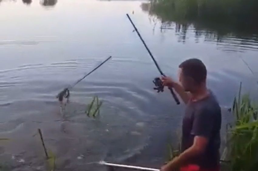 Videó: a bot kettétört, a hal mégis szákba került
