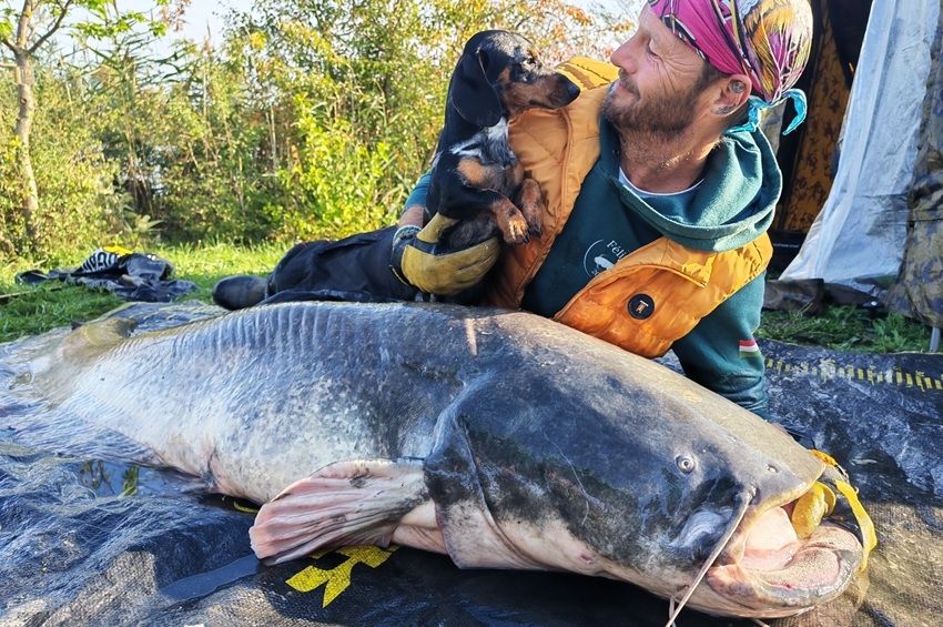 Titkos csalival fogtak tórekordharcsát a Passion Lake-en – fotókkal, videóval