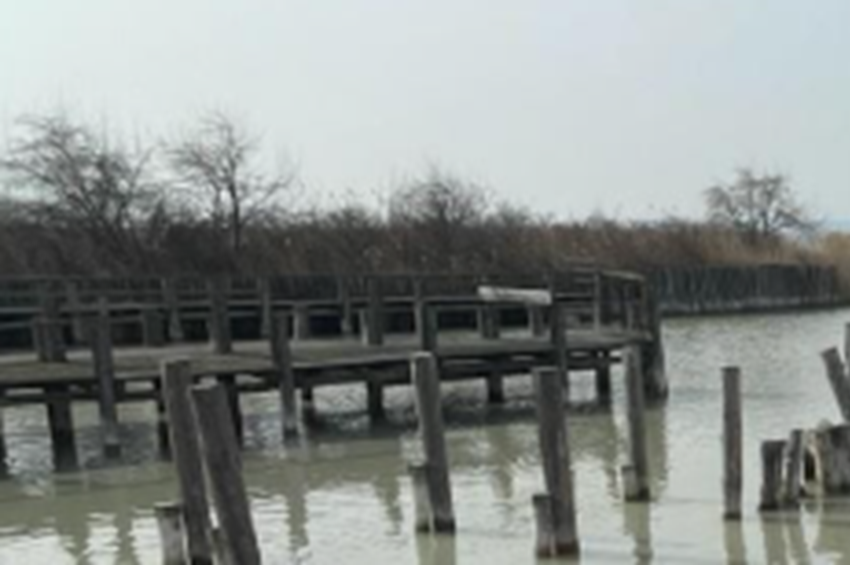 14 centivel marad el a Fertő-tó vízszintje a sokéves átlagtól