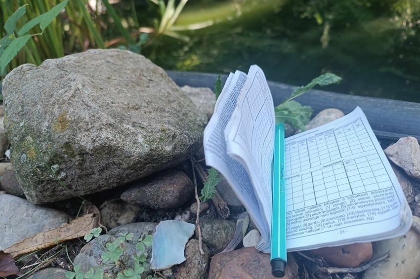 Varázstollal trükközött a Balatonnál egy kiskunhalasi horgász