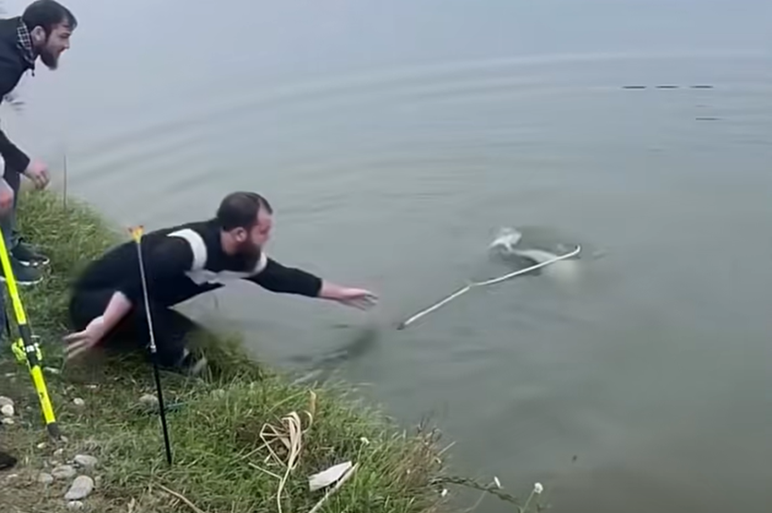 Videó: kétszer fürdette meg a horgászt a száktörő ponty, mielőtt lelépett