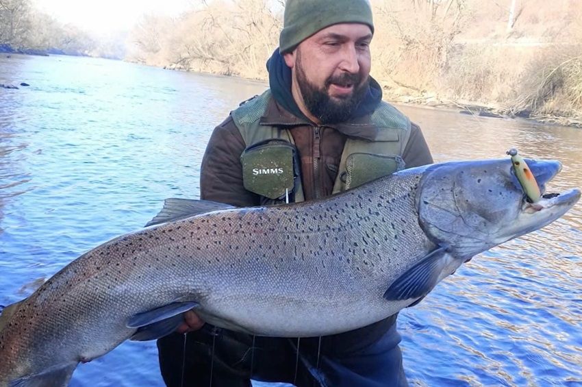 27 évet várt erre a gigantikus galócára a rózsahegyi horgász – videóval 