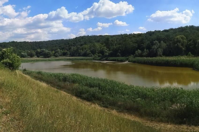Eltűntek a halak a Garancs-tóból, a teljes kiszáradás veszélye fenyeget
