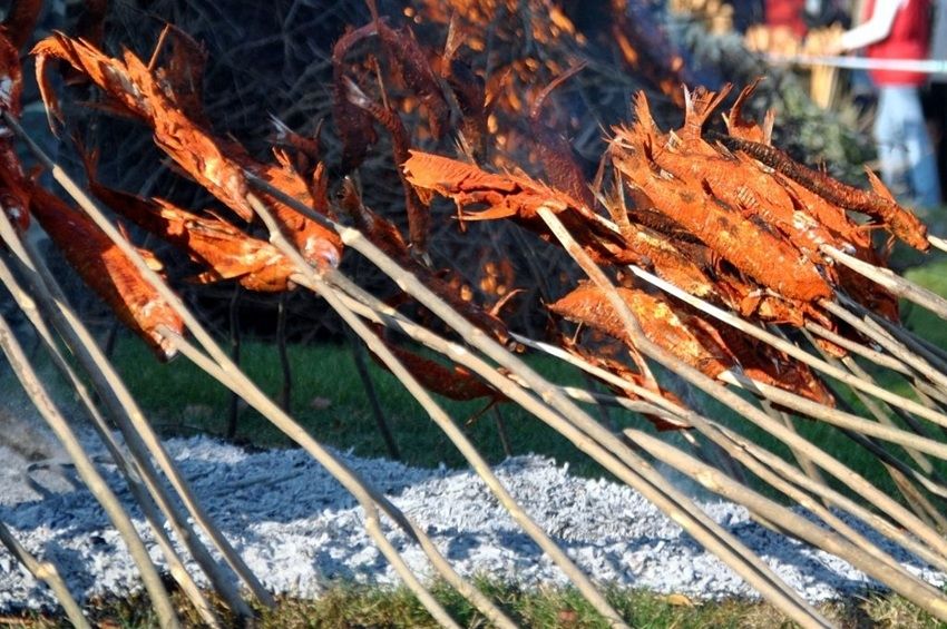 Huszonharmadszor rendezik meg a Gardália Napokat Tihanyban 