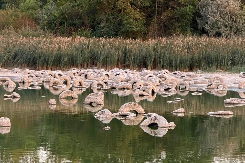 Gumiabroncsok ezreit távolítják el a szegedi horgásztó medréből – fotókkal, videóval