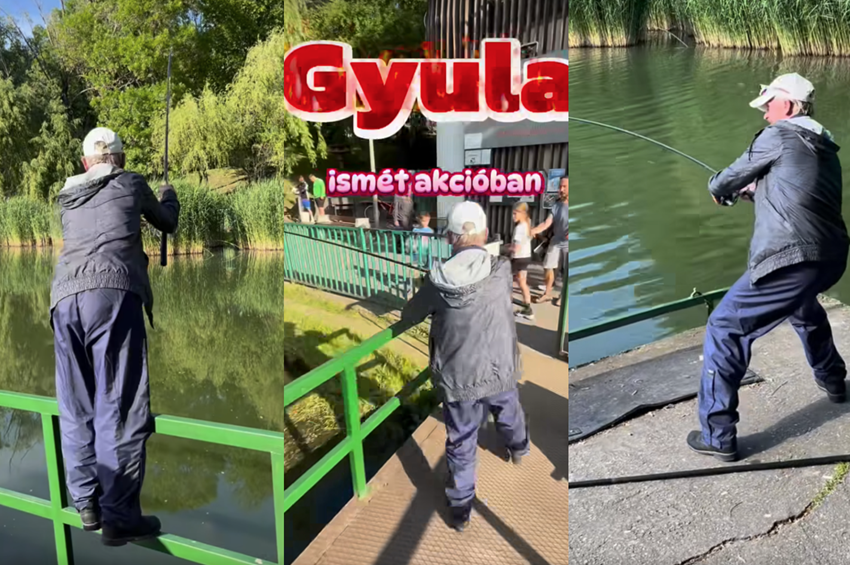 Videó: utánozhatatlanul fárasztja a halat a kőbányai mágus 