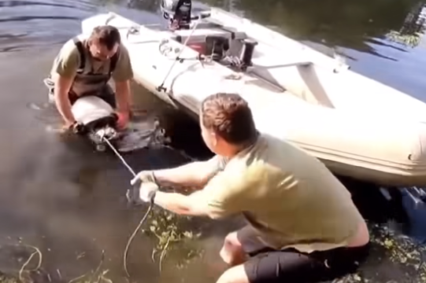 Videó: horgászok szabadították meg a harcsát a torkán akadt hódpatkánytól