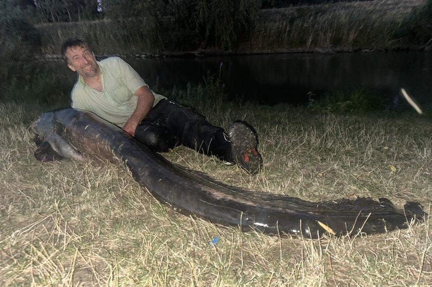 Videó: így fogták ki a 78 kilós harcsát Jászjákóhalmán