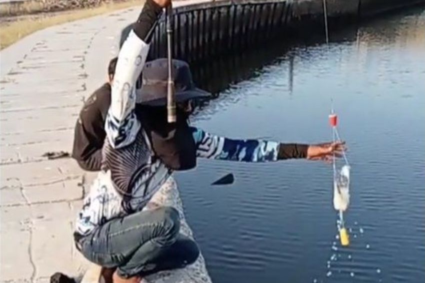 Videó: horgászat PET-palackkal – eredményes, de illegális
