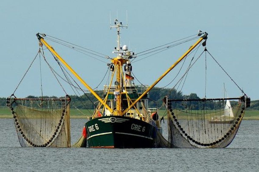 Megállapodott az EU a 2022-es halászati kvótákról