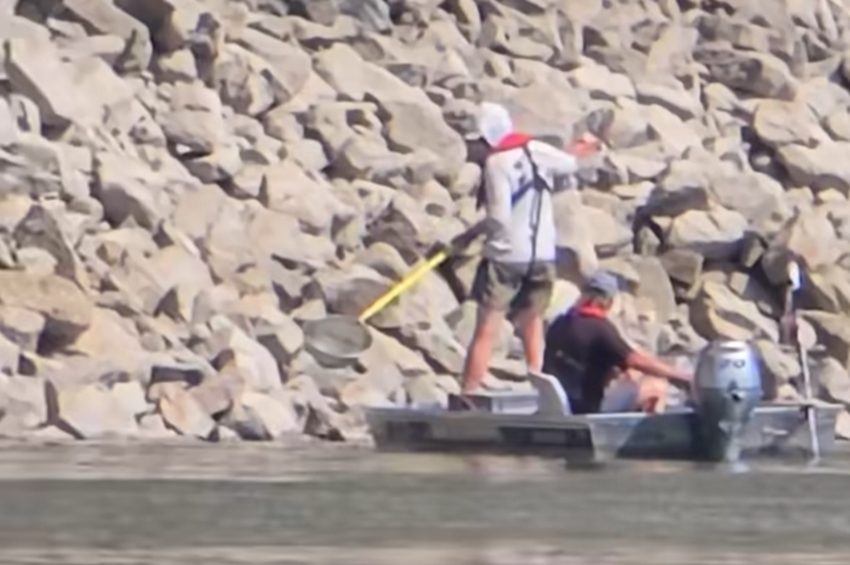 Elektromos halászatot vettek videóra a Duna győri szakaszán