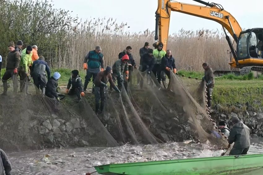 Videó: lehalászás zajlott a Hortobágyi Öreg-tavakon 
