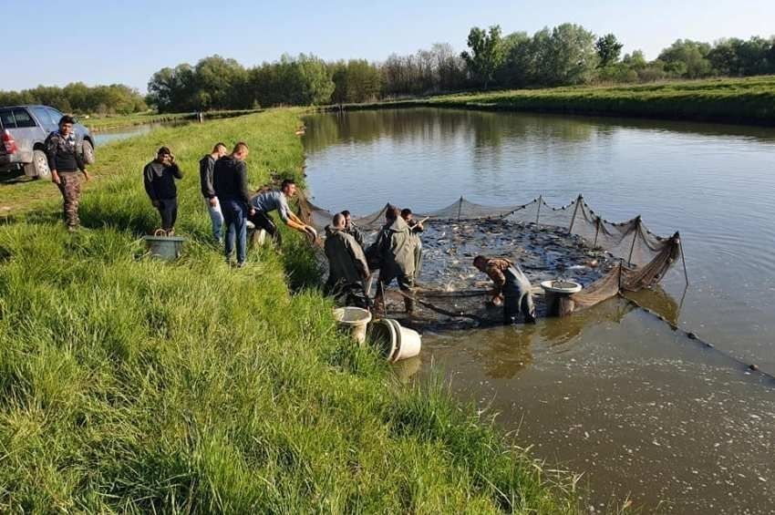 Kilátástalanságba taszította az aszály a halastavi gazdálkodókat 