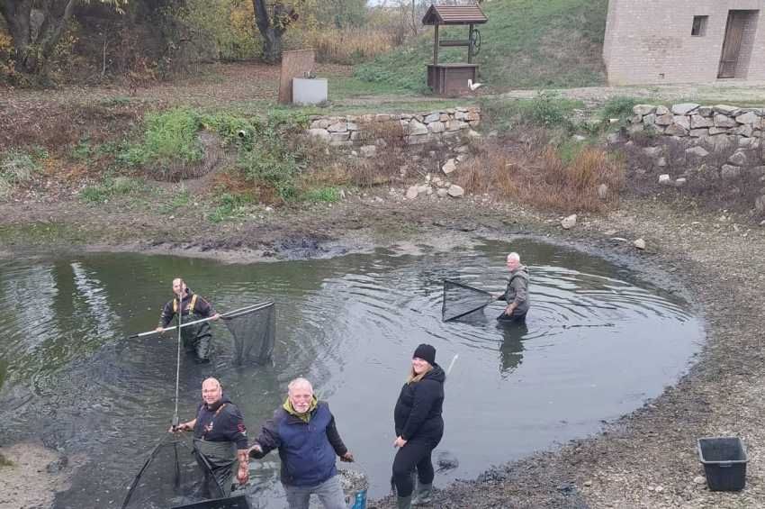 Horgásztársak mentették barátjuk tavából a halakat Sopronban