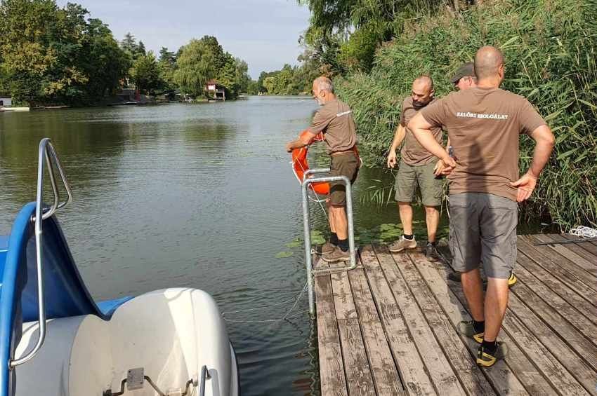 Hárommillió forint halvédelmi bírságot zsebeltek be Győr-Moson-Sopronban