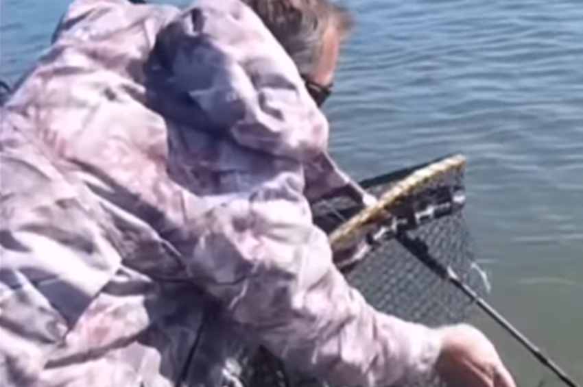 Videó: lukas merítőszák késztette rögtönzésre a Tisza-tavi harcsahorgászt 