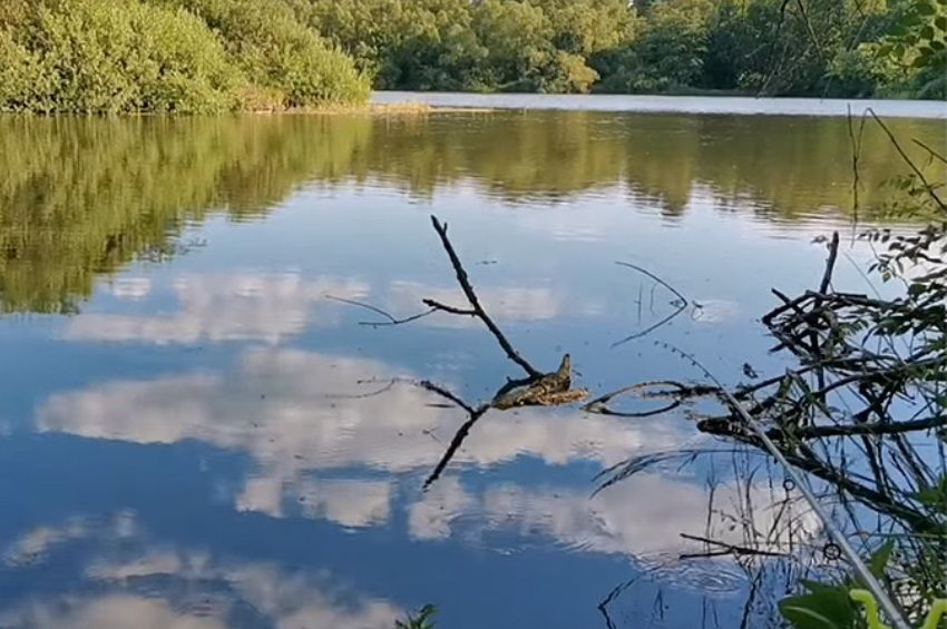 Hosszú idő után újranyitnak egy tavat Debrecenben