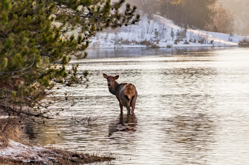Aggasztó adatok érkeztek a Duna és a Tisza vízgyűjtőiről