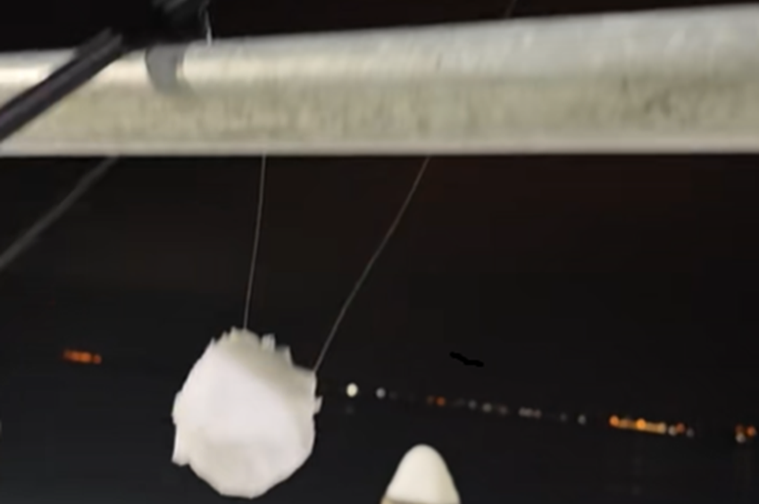 Videó: hógolyóból készítettek kapásjelzőt Tihanyban 