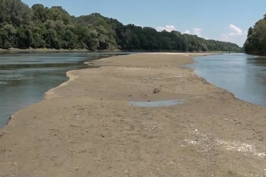 Tombol az aszály: több helyen is átgyalogolható a Tisza – videóval 