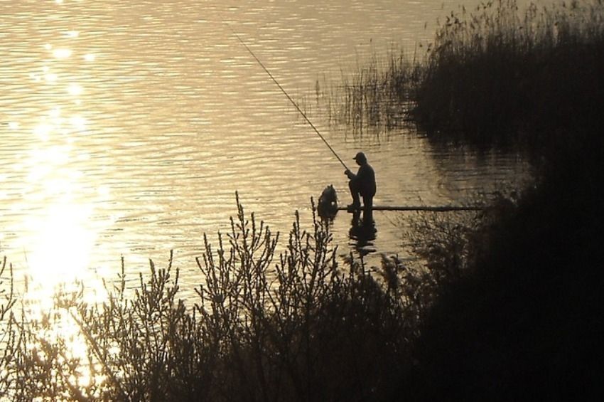 145 hallal kaptak el egy orvhalászt, 25-tel egy orvhorgászt a Balatonnál