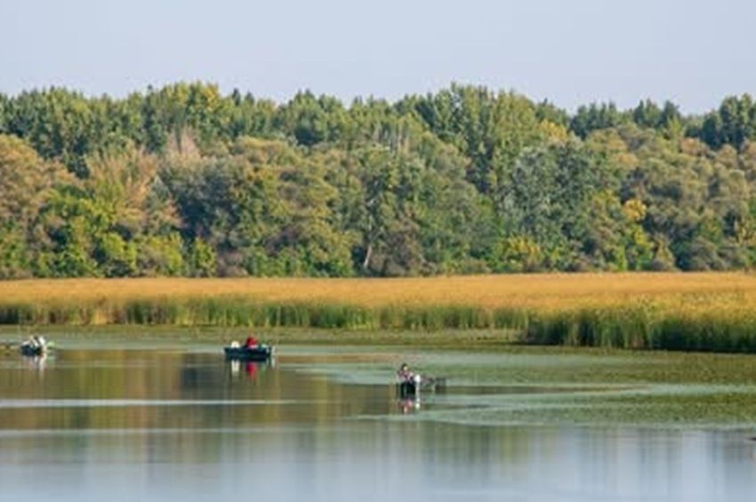 Félmilliárd forint értékben váltottak horgászjegyeket a Tisza-tóra 2025-ben 