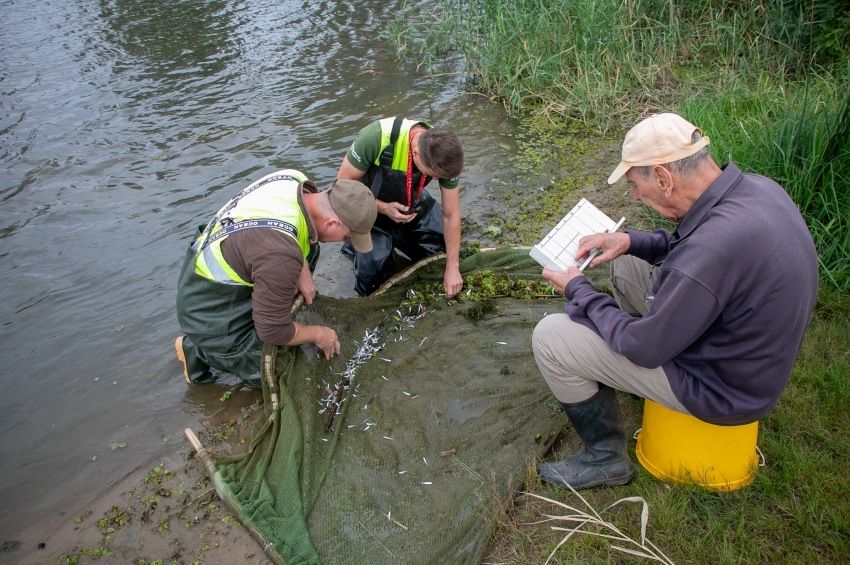 Eltűntek a ragadozóivadékok a Tisza-tóból – fotókkal