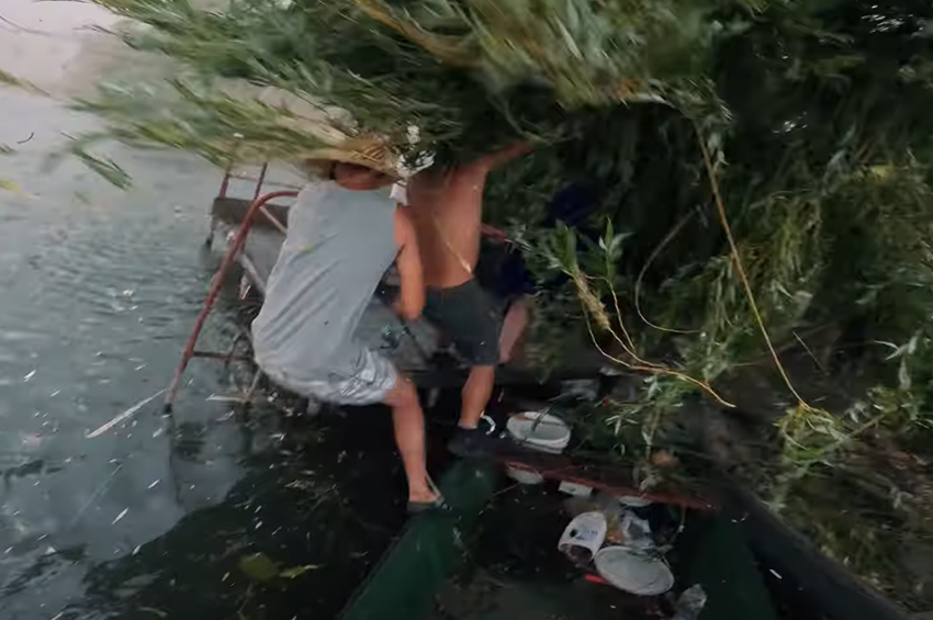 Horgászokra döntött a vihar egy magas fűzfát a Keleti-főcsatornán – videóval 