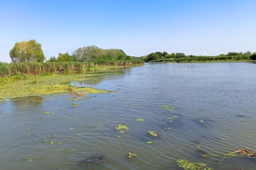 Huszönéves rejtély oldódott meg a Keleti-főcsatornán