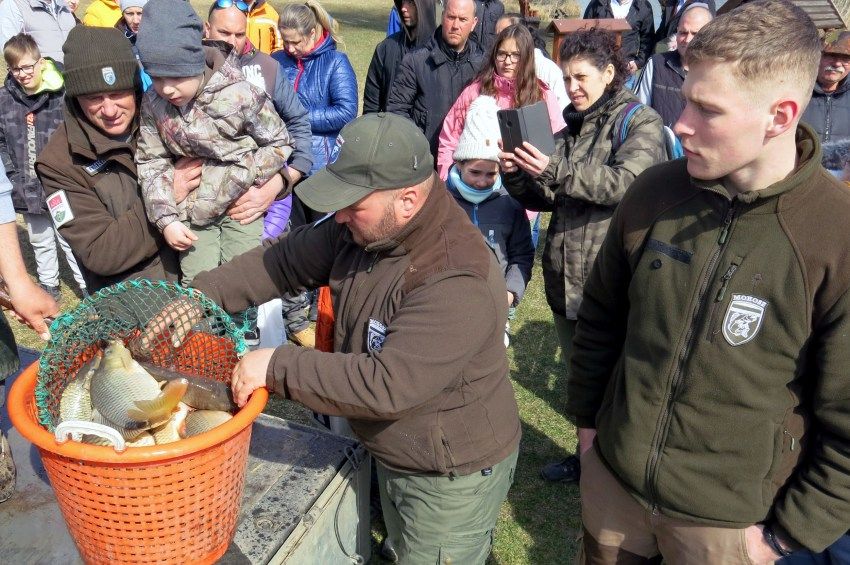 Belevágnak a halnevelésbe a Komárom-Esztergom megyei horgászok 