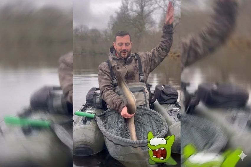 Videó: kígyóbűvölőként táncoltatták az angolnát