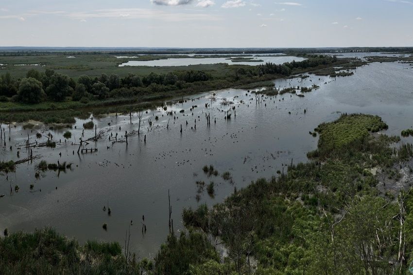 Több tucat gyógyszerhatóanyagot azonosítottak a Kis-Balaton térségében