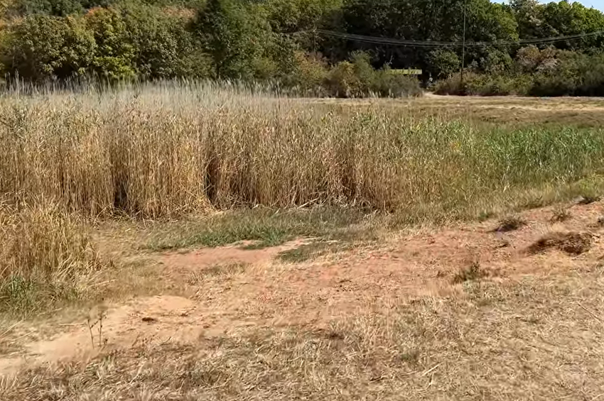 Eltűnt egy tó a Balaton közelében – videóval