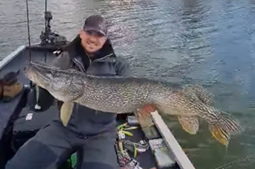 A Tisza-tavon kívül is méter feletti csukával bizonyított a népszerű guide – videókkal 