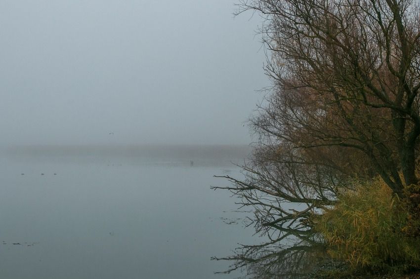 Öt órán át keresték a ködben eltévedt horgászokat a Tisza-tavon