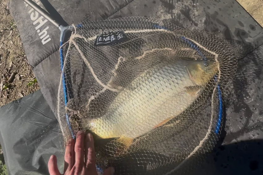 Brutális napot zártak a Tisza-tavon: 35 keszeget és 9 pontyot fogott egyetlen horgász – fotókkal 