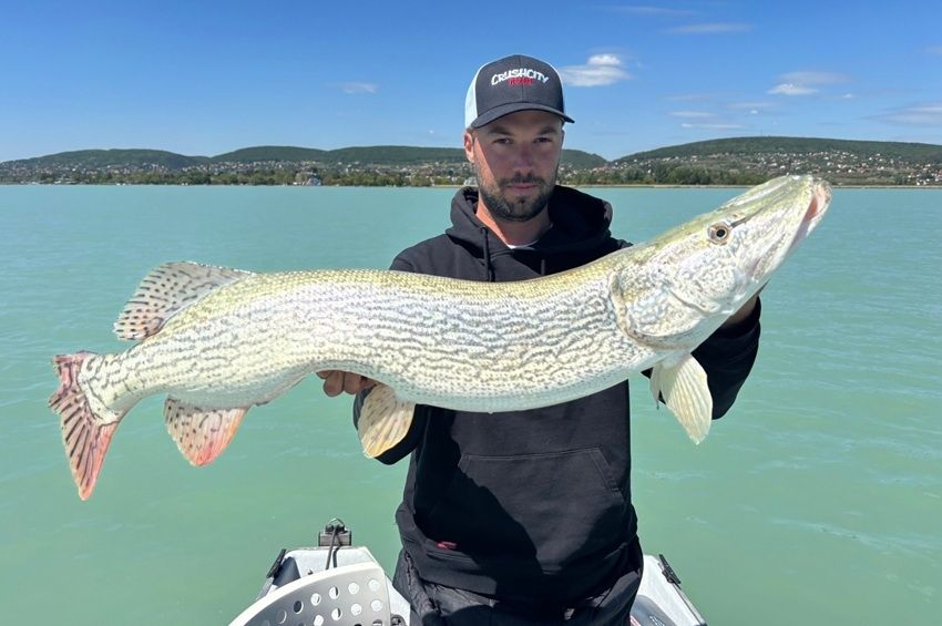 Dévérrel a szájában fogtak méter feletti csukát a Balatonon – fotókkal 