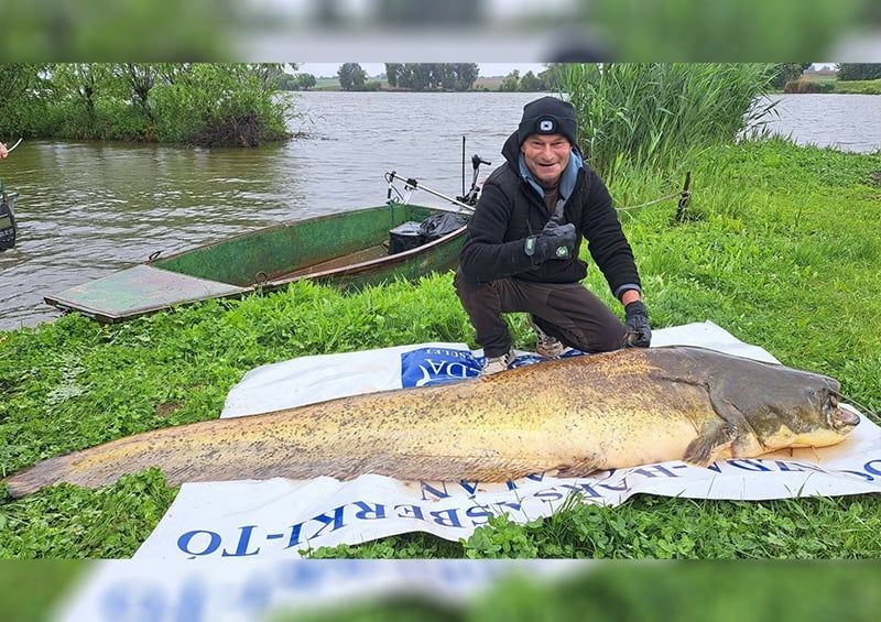 255 centis harcsával vettek revansot a Hársasberki Horgásztónál – fotókkal