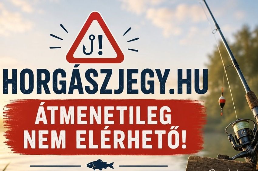 Leállt a HORINFO rendszer tárhelyszolgáltatói hiba miatt