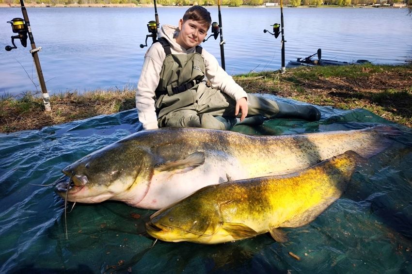 Tízéves horgász fogott 42 kilós harcsát Leveleken – fotókkal, videóval