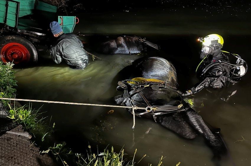 Lovaskocsi zuhant a Duna–Tisza-csatornába, horgászok mentették ki a hajtót – fotókkal  