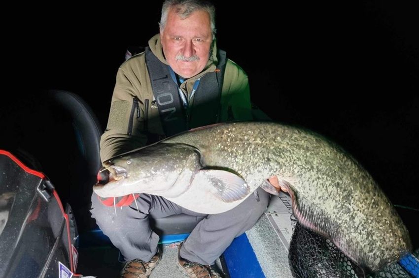 Lukácsi Bélát is támadta már meg harcsa, mégsem fél