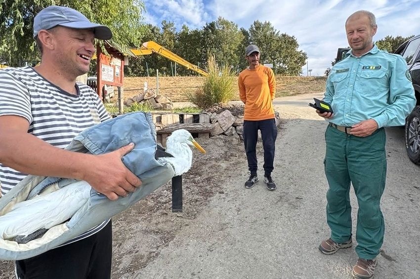 Egy kócsaggal a hóna alatt sétált be egy horgász a tiszaderzsi kikötőbe – fotókkal 